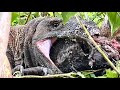 WATCH UNTIL THE END! SURVIVE Between Life & Death ‼️