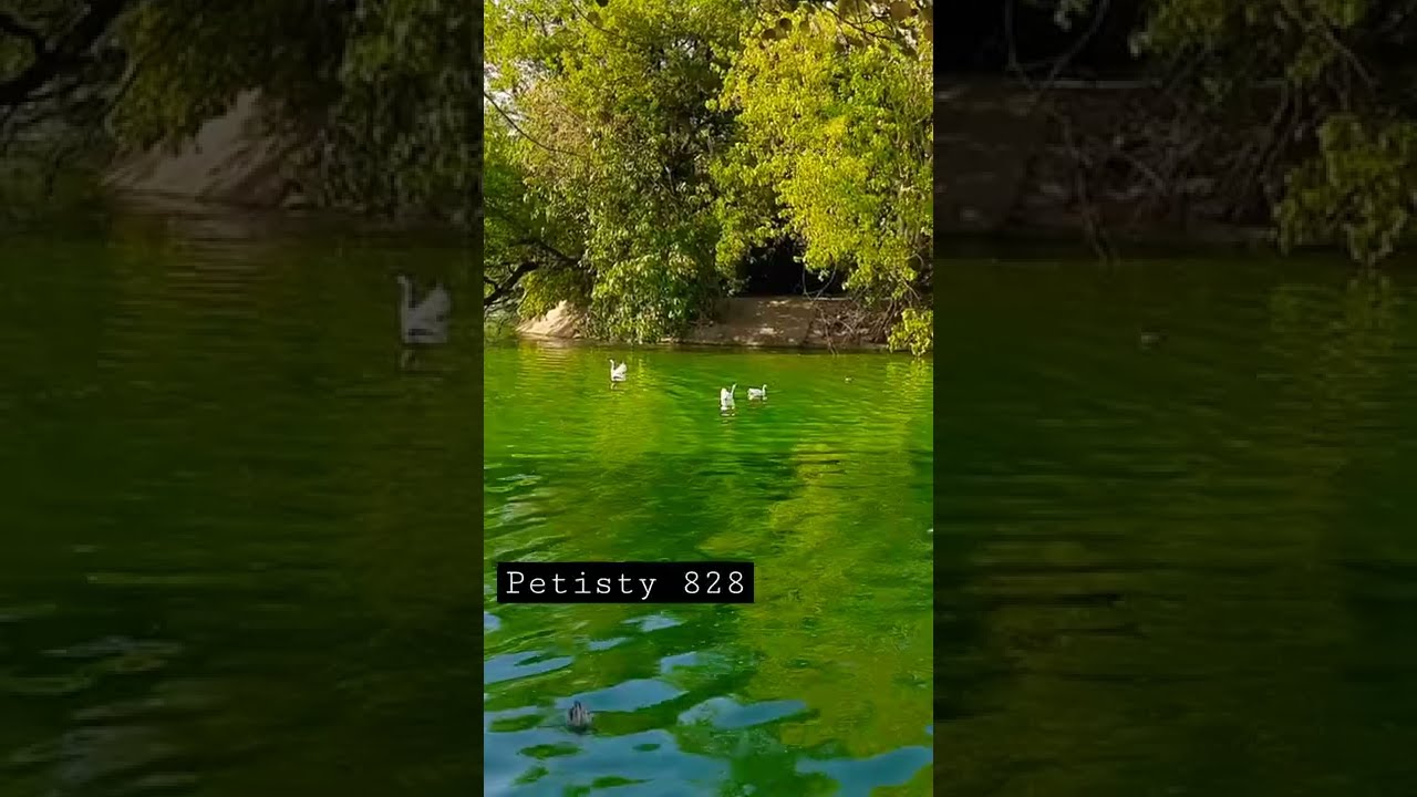 deer park delhi | beautiful place in Delhi 