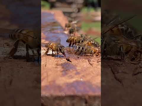 Uploads from Nvision