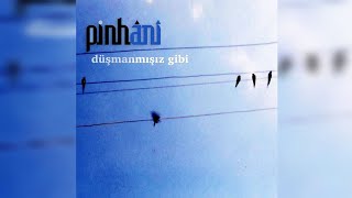 Pinhani Düşmanmışız Gibi Albüm Kapakları
