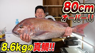 超巨大なこの鯛が〇〇〇〇円⁉︎安すぎる。。。飲みながら4品作って無事昇天！