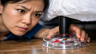 How to Choose the Best Bed Bug Traps — What Works