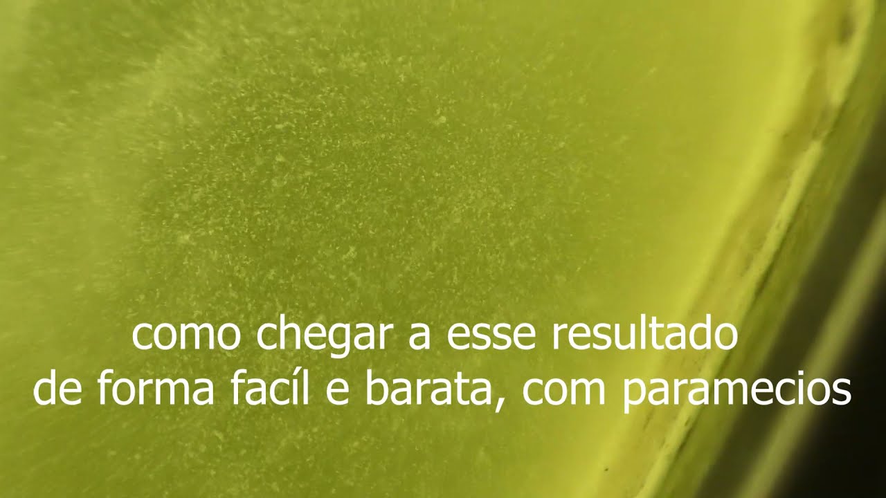 paramécios, como cheguei nesse resultado! 