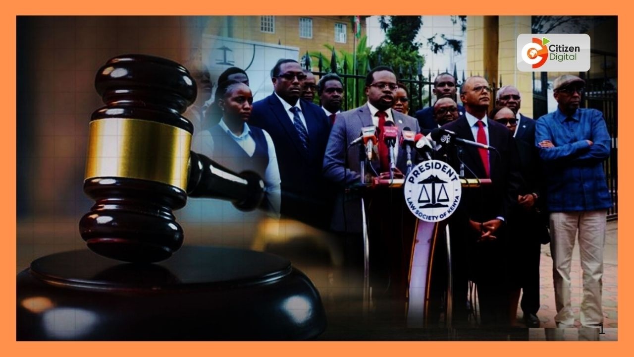 Judicial Accountability and Professional Organizational Action