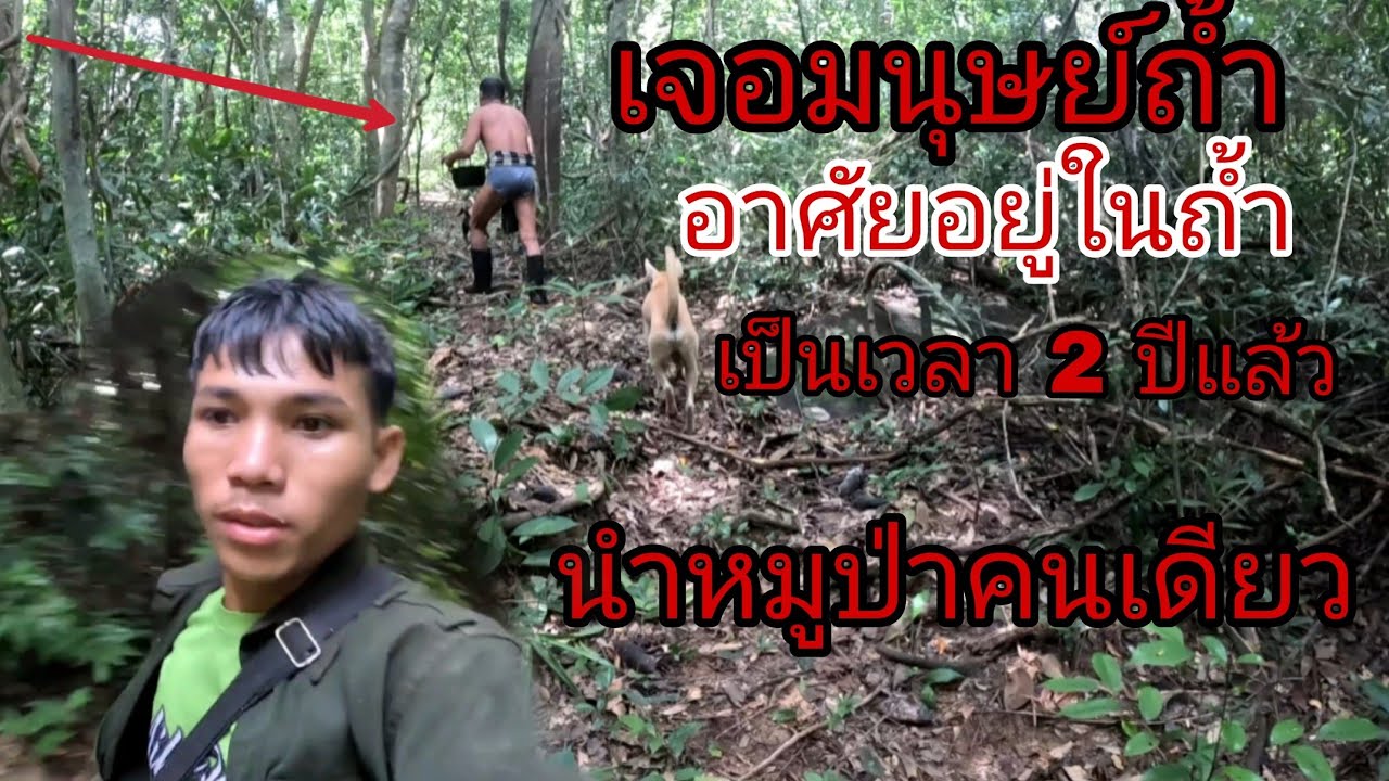 นำหมูป่าคนเดียวเจอมนุษย์ถ้ำอยู่มา 2 ปีแล้ว/ພານ້ອງຫມານຳຫມູປ່າຄົນດຽວ