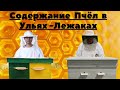 Содержание пчёл в Ульях -Лежаках!