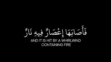 فأصابها إعصار فيه نار فاحترقت | ماهر المعيقلي | سوره البقره | كروما شاشة سوداء قرآن