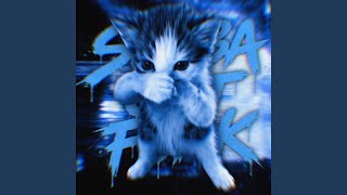 Scuba Cat Funk