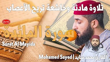 سورة المائدة - القارئ محمد السايد|Sayed|Al Mayida تلاوة هادئة تريح الأعصاب|للمساعدة على نوم عميق😌🎧