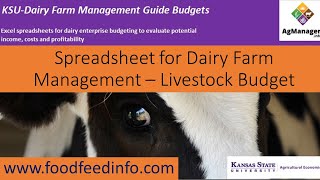 Spreadsheet for Dairy Farm Management – Livestock Budget screenshot 3