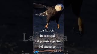 La fiducia in se stessi è il primo passo verso il successo