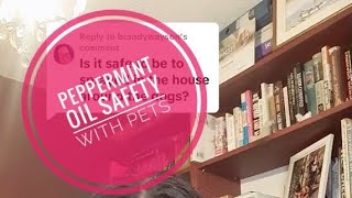 Peppermint Oil Safety With Pets Will Peppermint Oil Hurt Dogs