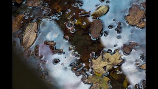 Grief. How do you find your way through it? Moments that Matter, Christian Questions