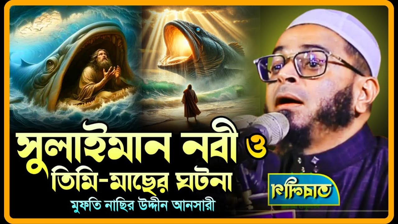 সুলাইমান নবী ও তিমি-মাছের ঘটনা.মুফতি নাসির উদ্দিন আনসারী-TABLIK MEDIA।২০২৫#nasiruddinansari2025#ওয়াজ
