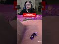 Has your sidekick in Fortnite ever sold you? My cat LOVES getting in the way of my shots