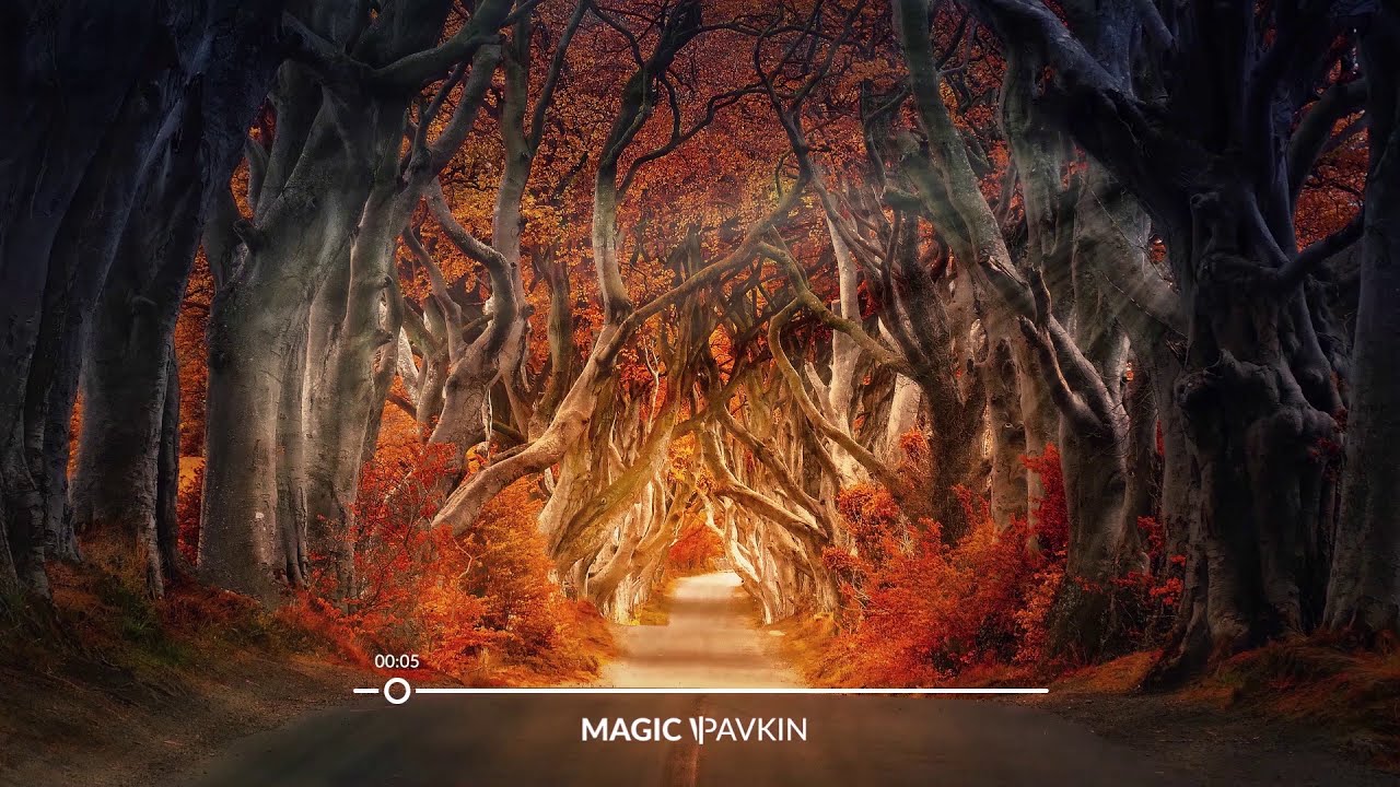 Free Music / Dreamy Cinematic Background Music For Videos / Magic World