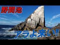 クエ【アラ】 鹿児島県野間池 沖ヶ瀬で大アラを狙う‼夢をもう一度　 “Targeting the Mighty Kue off Kagoshima’s Okinose Reef!”