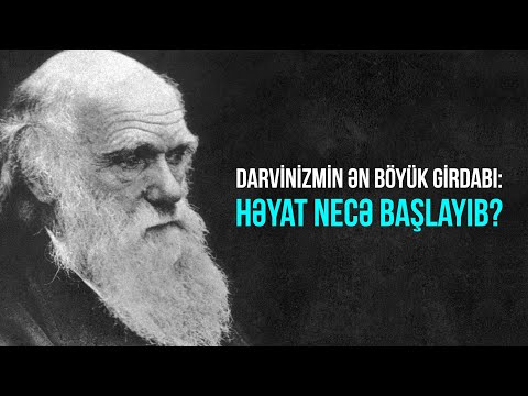 Video: Orqanizmlər təkamüllə necə əlaqəlidir?