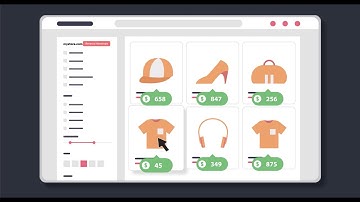 SquidVision Explainer Video - Heatmap software with revenue attribution