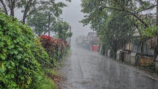 EXTREME WEATHER ⛈️⚡ MOST INTENSE HEAVY RAIN & WINDSTORM ⛈️🌪 WALKING IN AN INDONESIAN VILLAGE 🌪🌪⚡⚡ screenshot 2