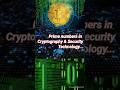Unlocking the Power of Prime Numbers in Cryptography 🔐