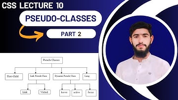 CSS Pseudo Classes Tutorial | Learn First Child, Last Child, Nth Child, First of Type & More