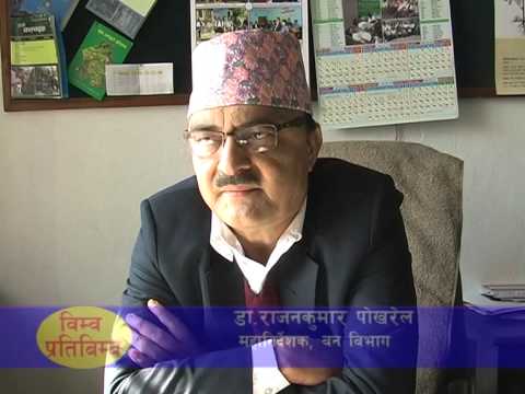 नेपालमा वन व्यवस्थापन