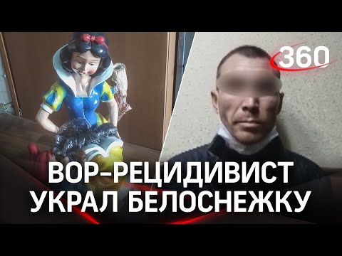 Белоснежку с гномом и две автомагнитолы стащили воры в Орехово-Зуеве