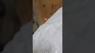 Nail gun vs body armor!