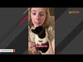 Cat's unusual purr will melt your heart