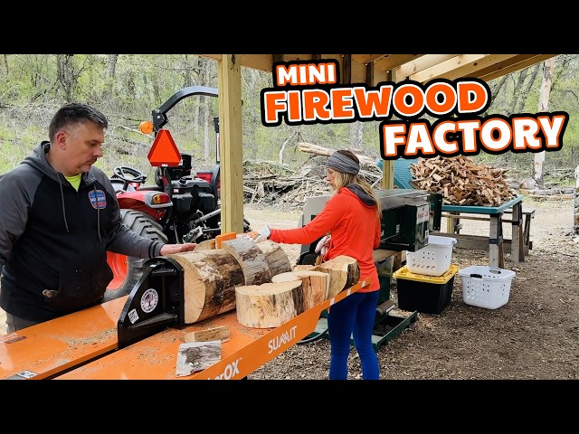 初心者の方必見‼️小振りなwood land‼️調整済み‼️弾き易くセッティング‼️ Cherry Firewood ProcessingFull Small Scale Production - YouTube