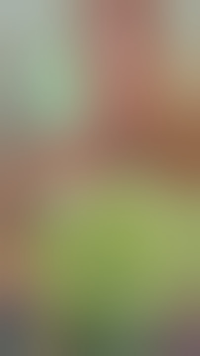 Popular vegan influencer dies of 'starvation'