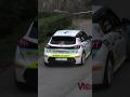 CAMUNIA RALLY 2024 - PEUGEOT 208 RALLY4 #ildiretta #noirally #rally #peugeot