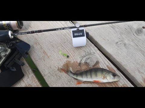 NANO ZERO. ნანო ქორჭილები.