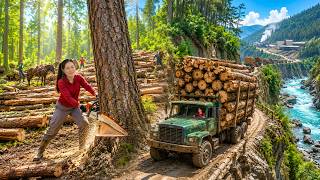 TIMELAPSE -- Logging & Transporting Massive Timber by Truck on Dangerous Mountain Roads