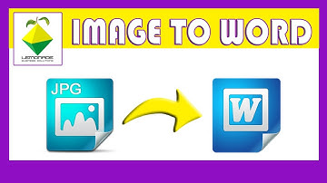 Images to word analysis software