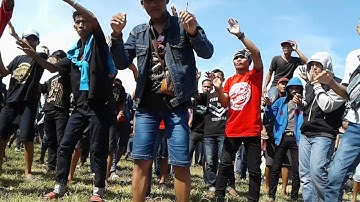 Goyang holik damai