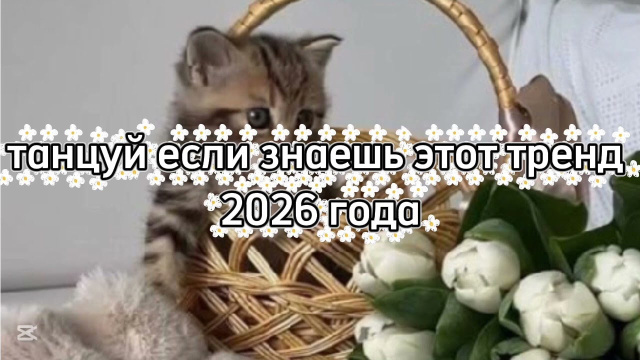 Танцуй если знаешь этот тренд 2026 года 