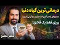 با روزی یک قاشق از این دانه مریض نمیشی از سردرد و سینوزیت تا پادرد و دیابت و فشارخون دکتر ناصح