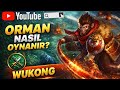MASTER ELO ORMAN WUKONG NASIL OYNANIR? | ADIM ADIM