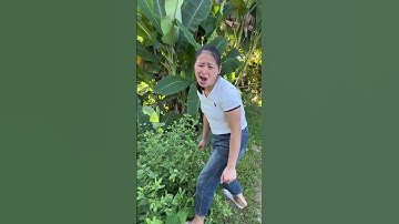 Bà người rừng.| quả dưa 🍉 hấu đi đâu rồi..🤗 [ tập 53 ] #shorts