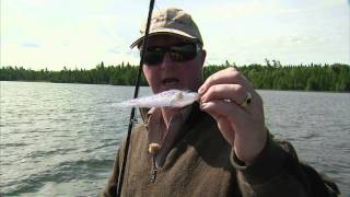 The New Fly Fisher Is...