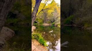 Rio Mundo 🍂🍄🍄🟫 #turismo #naturaleza #molinicos