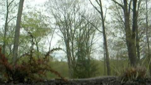 Brushless RC18T jumping