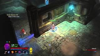 Diablo III: unkillable enemy glitch