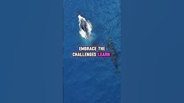 Overcoming Obstacles: The True Measure of Success - A Motivational Journey