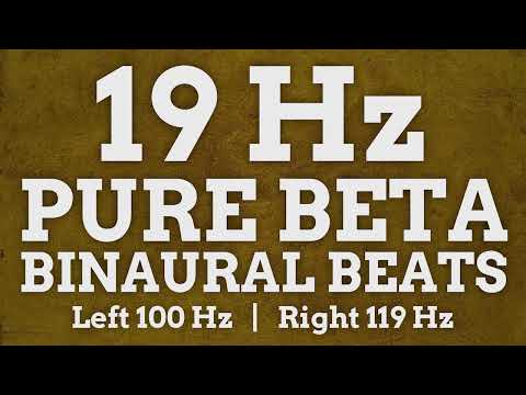 19      100  119      