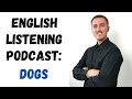 English listening practice podcast  dogs