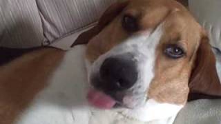 Chapped Lips