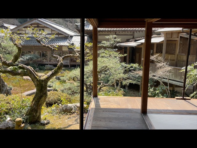 Seiganji Temple Garden in Shiga, Japan | Moss-Covered Stones in a